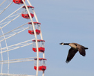 December 2009